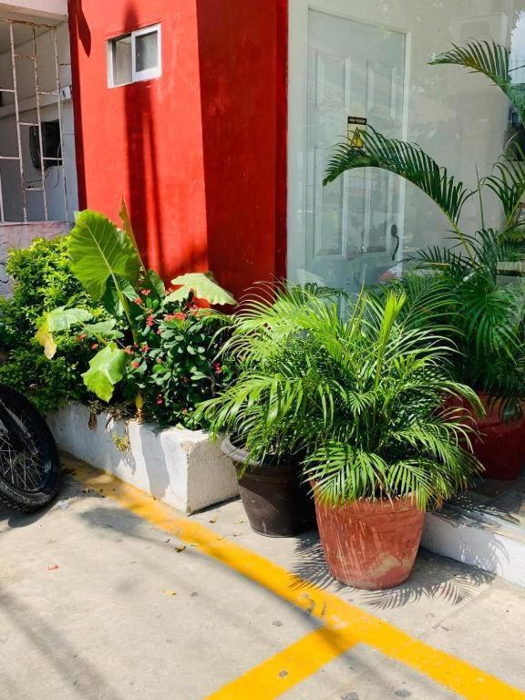 Hotel Bellamar Cartagena Eksteriør billede